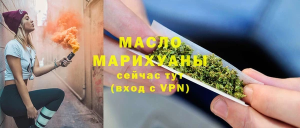 СК Алексин