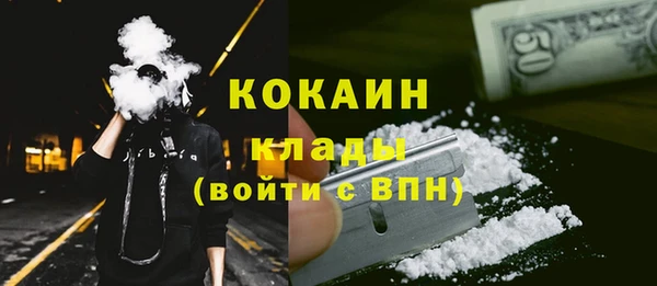 СК Алексин