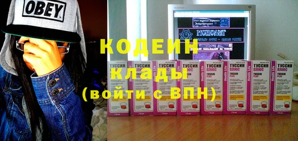 гашик Няндома