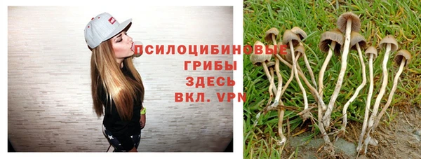 каннабис Алексеевка