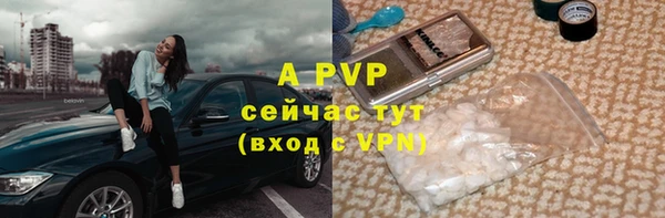 СК Алексин